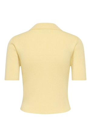 Jacqueline de Yong 15359372 Geel zacht