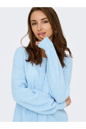 Jacqueline de Yong 15326819 Blauw licht