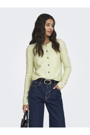 Jacqueline de Yong 15330581 Groen licht