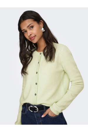 Jacqueline de Yong 15330581 Groen licht