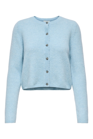 Jacqueline de Yong 15330581 Blauw licht