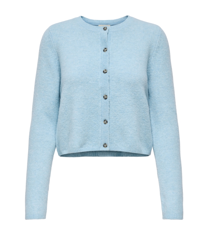 Jacqueline de Yong 15330581 Blauw licht