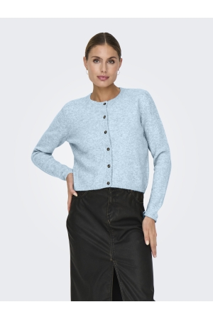 Jacqueline de Yong 15330581 Blauw licht