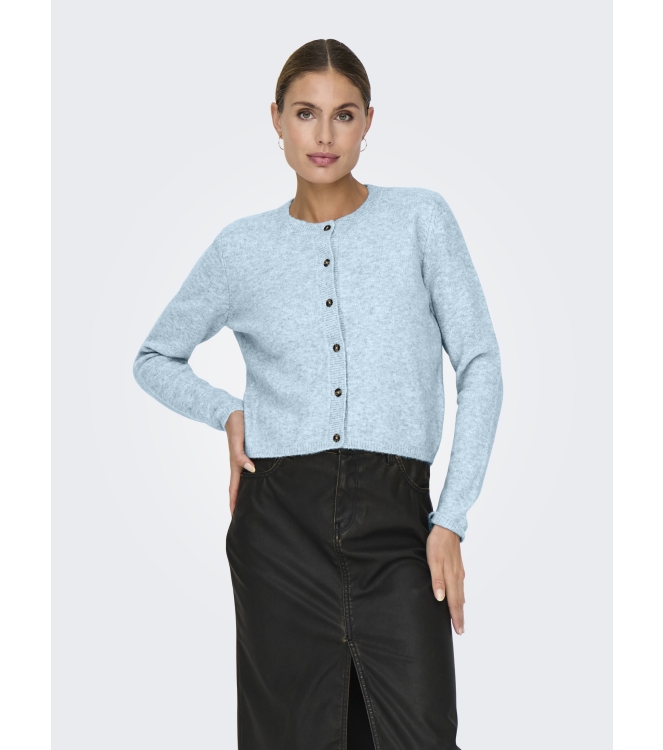 Jacqueline de Yong 15330581 Blauw licht