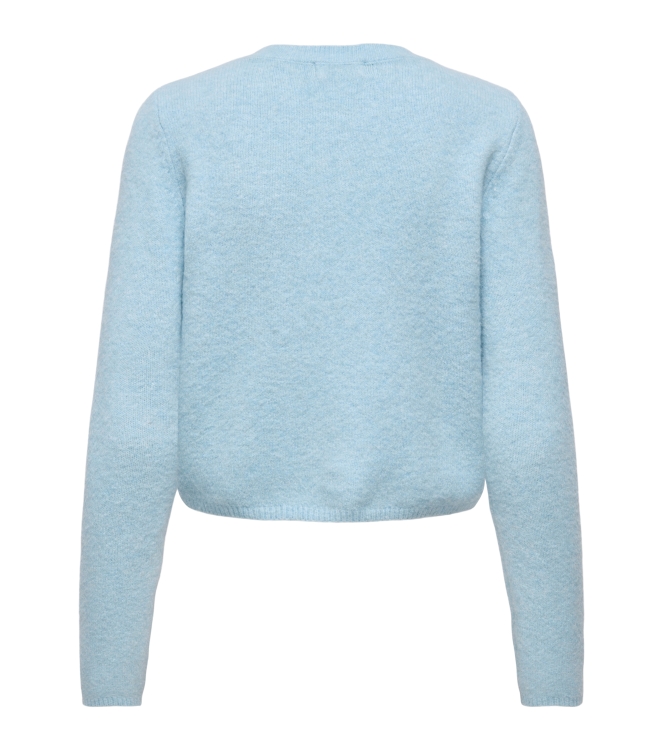 Jacqueline de Yong 15330581 Blauw licht