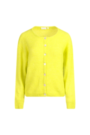 Groen 
