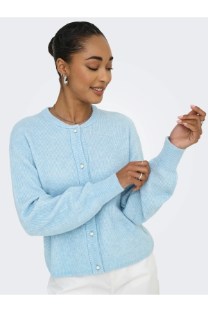 Jacqueline de Yong 15326819 Blauw licht