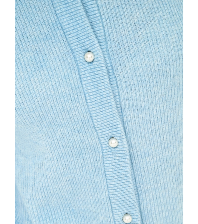 Jacqueline de Yong 15326819 Blauw licht