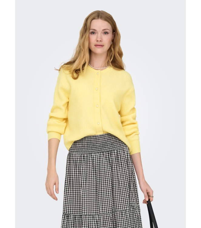 Jacqueline de Yong 15326819 Geel zacht