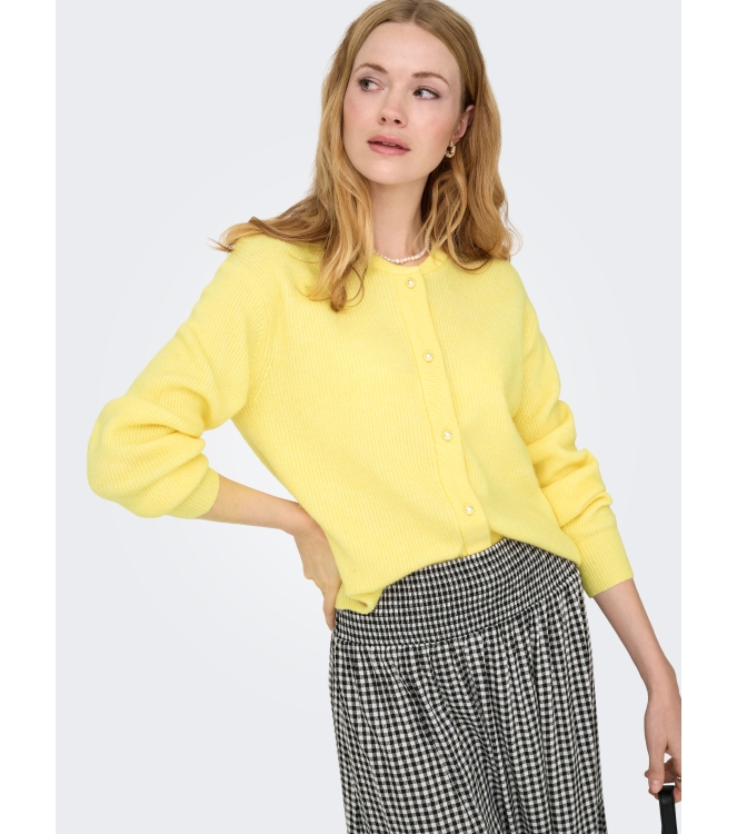 Jacqueline de Yong 15326819 Geel zacht