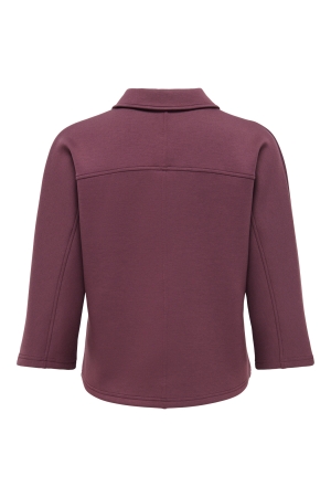 Jacqueline de Yong 15379877 Rood bordo