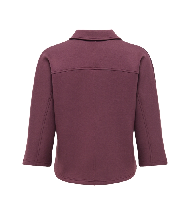 Jacqueline de Yong 15379877 Rood bordo