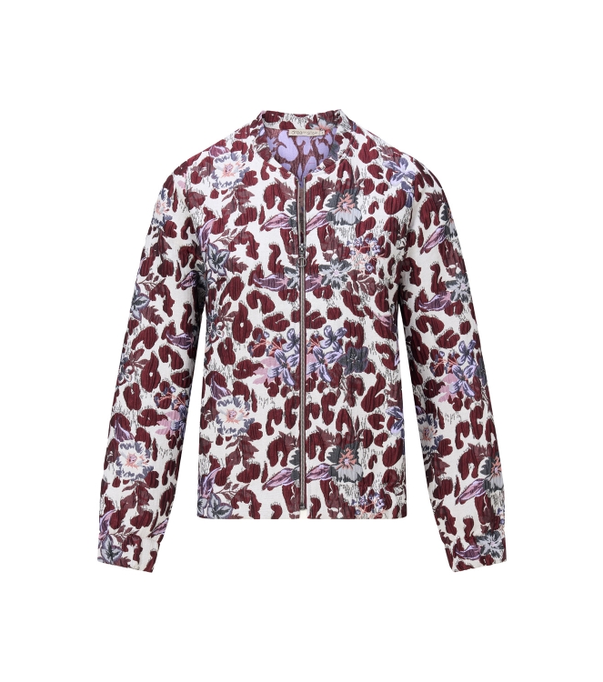 Dreamstar W25 119  Andrea Rood bordo