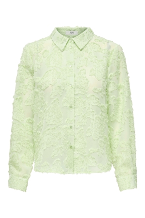 Jacqueline de Yong 15332572 Groen licht