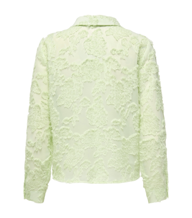 Jacqueline de Yong 15332572 Groen licht