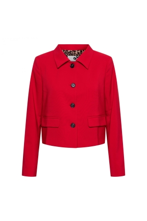 &co BZ160 Rood midden