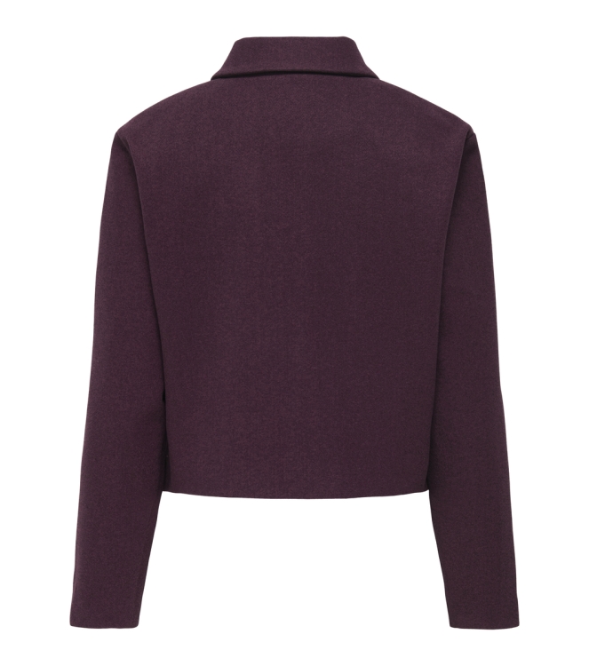 Jacqueline de Yong 15311852 Paars donker aubergine