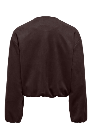 Jacqueline de Yong 15367790 Bruin donker