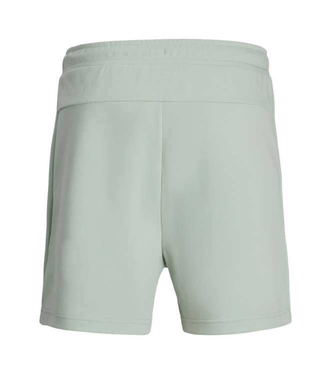 jack&jones 12273304 Groen licht