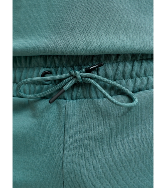 jack&jones 12301956 Blauw petrol