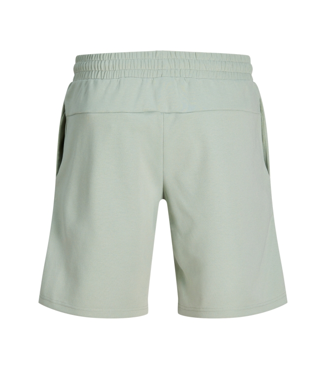 jack&jones 12301956 Groen licht