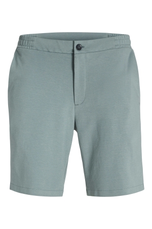 jack&jones 12281799 Groen ijs