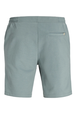 jack&jones 12281799 Groen ijs