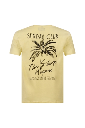 Stonecast 534165M Z10570 Geel