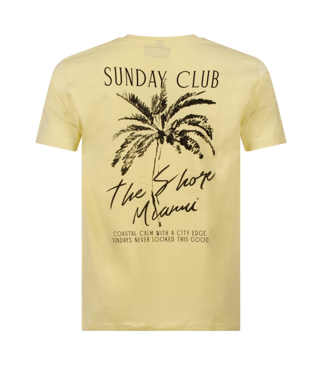 Stonecast 534165M Z10570 Geel