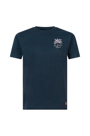 Stonecast 534165M Z10570 Blauw chambree