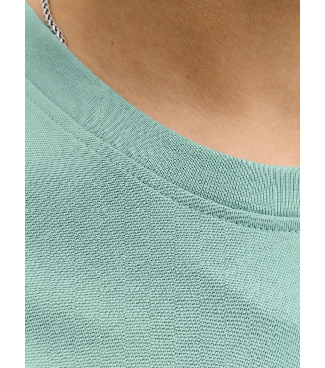 jack&jones 12234746 Groen licht