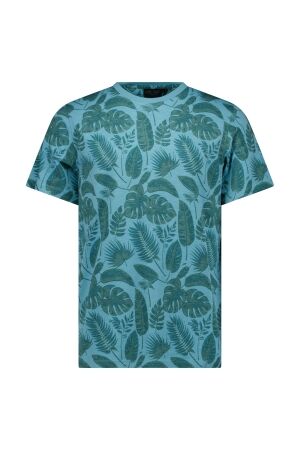 Cars jeans 83671 Groen