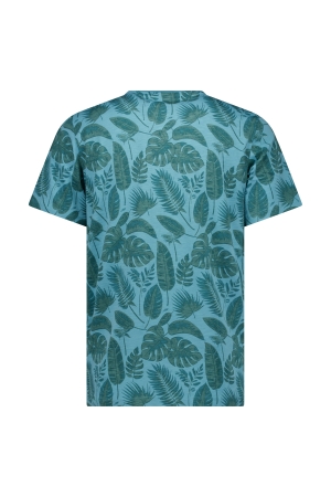 Cars jeans 83671 Groen