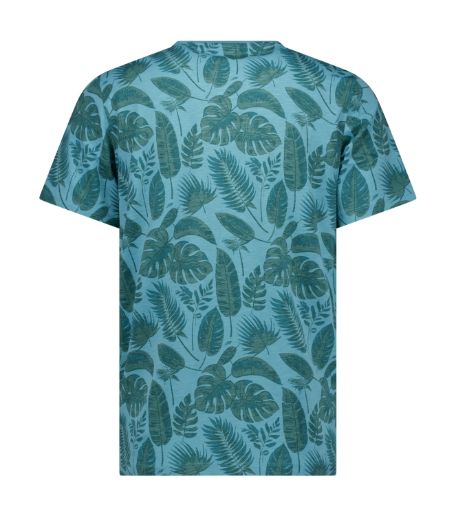 Cars jeans 83671 Groen