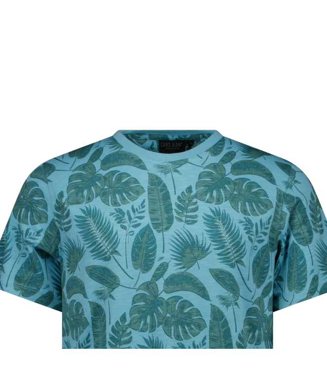 Cars jeans 83671 Groen