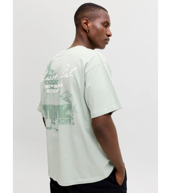 jack&jones 12295544 Groen licht