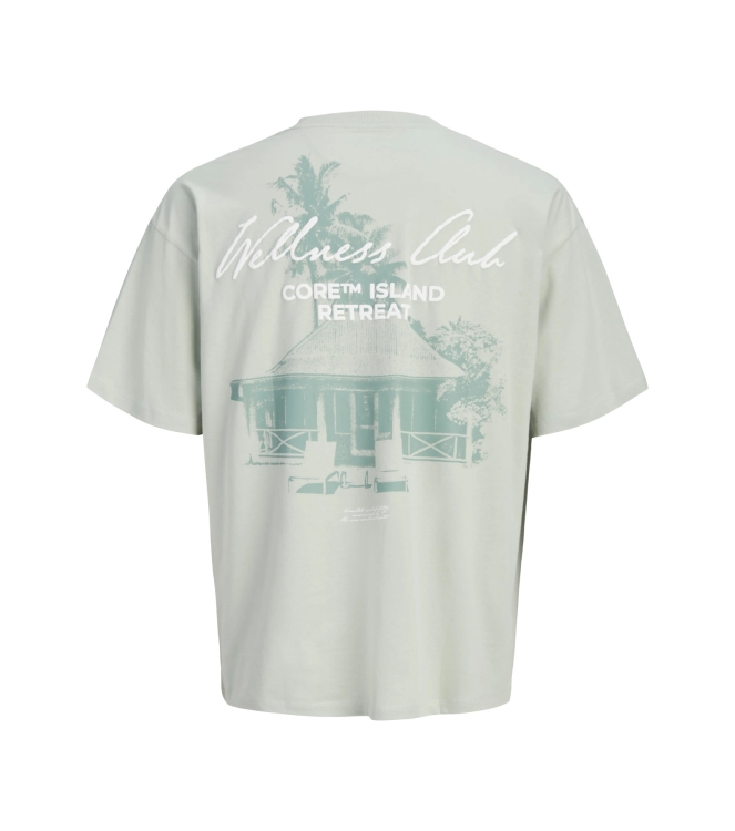 jack&jones 12295544 Groen licht