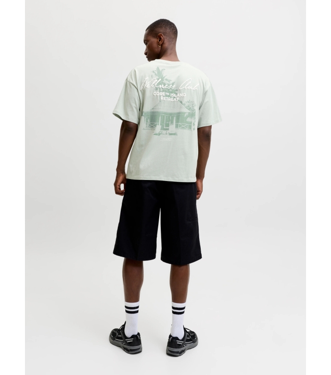 jack&jones 12295544 Groen licht