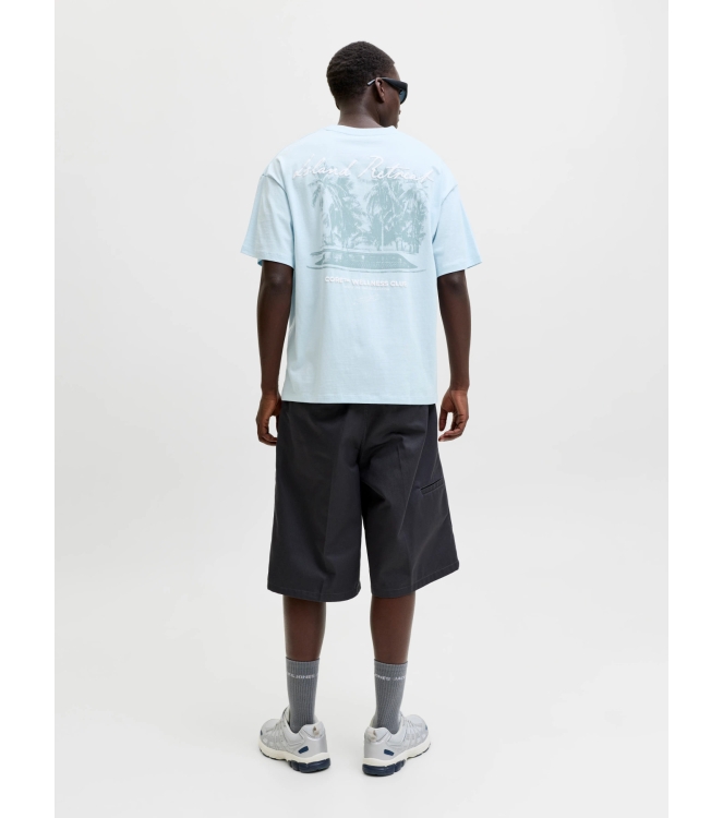 jack&jones 12295544 Blauw licht