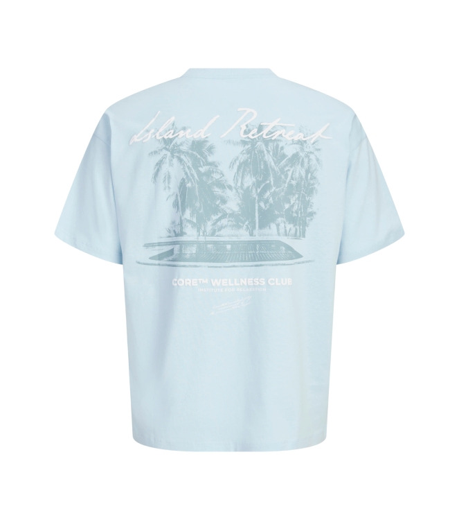 jack&jones 12295544 Blauw licht