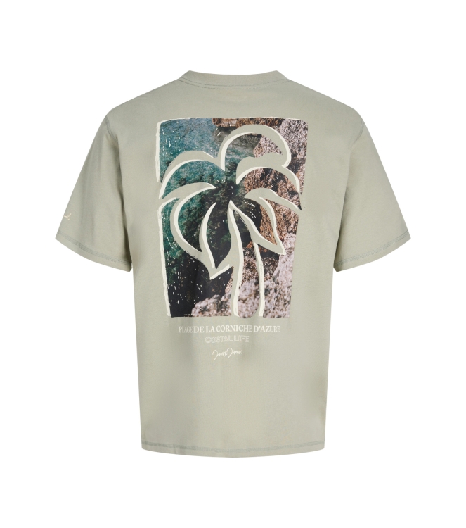 jack&jones 12295190 Groen midden