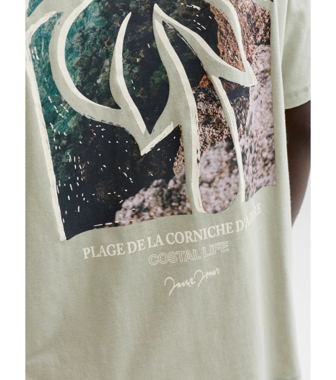 jack&jones 12295190 Groen midden