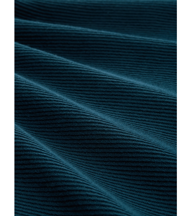 tom tailor denim 1047976 Blauw petrol