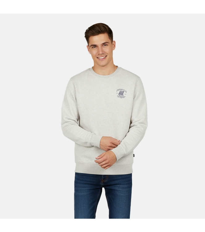 Cars jeans 40465 Grijs licht melee