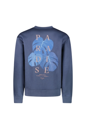 Cars jeans 62465 Blauw raf