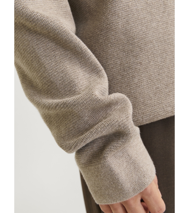 jack&jones 12259666 Bruin taupe