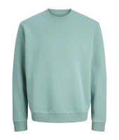 jack&jones 12249341 Groen licht