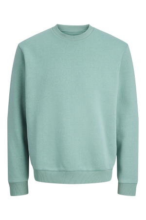 jack&jones 12249341 Groen licht