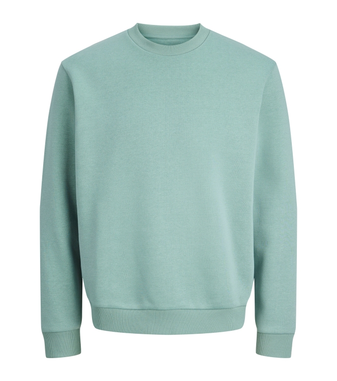 jack&jones 12249341 Groen licht