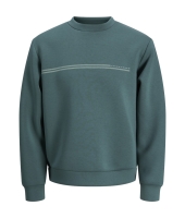 jack&jones 12289830 Groen